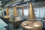 PICTURES/Dublin - Teeling Whiskey Distillery/t_Stills- Alison, Natalie, Rebecca.JPG